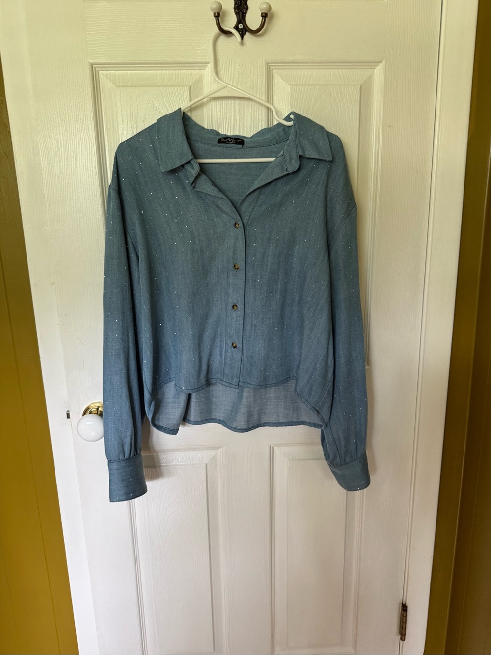 Velvet Heart Light Blue Button-Up Shirt